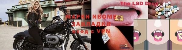 ешки Аркадак