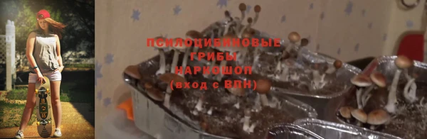 ALPHA PVP Армянск