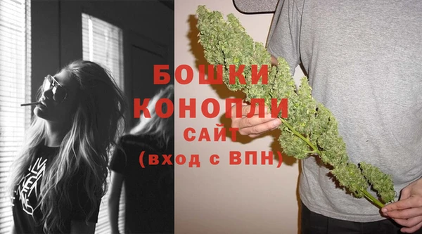 ГАЛЛЮЦИНОГЕННЫЕ ГРИБЫ Тайга