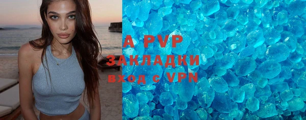 ешки Аркадак