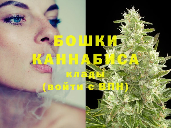 ешки Аркадак