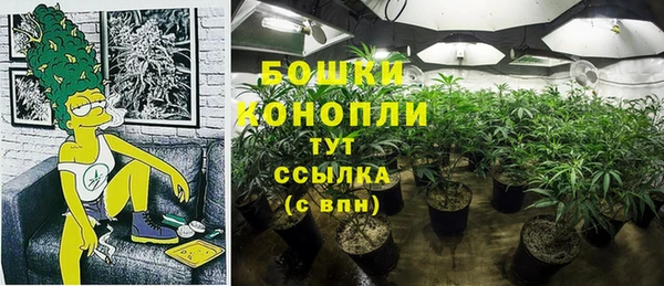 MESCALINE Арсеньев