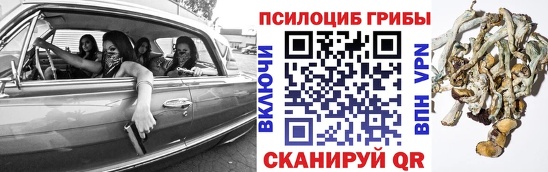 MEGA ССЫЛКА Белорецк Псилоцибиновые грибы Magic Shrooms